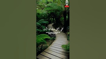 القرآن الكريم : الآيات من سورة المؤمنون #قرآن #راحة_نفسية #قرآن_كريم بصوت الشيخ #ماهر_المعيقلي #لايك