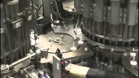 High Speed Continuous Motion Valve Assembly Machine - RAUPACK