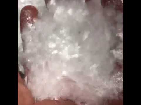 Shiny fish scales