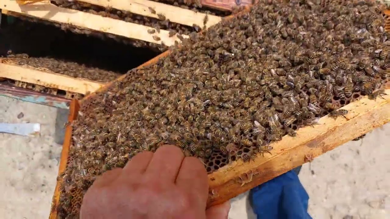 Rezolv problemele apărute