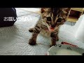 8月9日 ミルク♥飲んでるところ