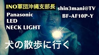 LED NECK LIGHT を身につけて、犬の散歩に行く きょうのわんわん