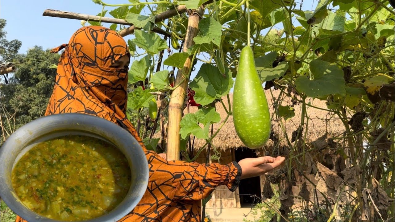 মসুর ডাল দিয়ে শীত লাউ এইভাবে রান্না করলে মাছ মাংসের দরকার নেই || Villfood by Laki