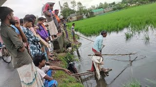most amazing village fishing culture during rainy season-catching huge fish by net