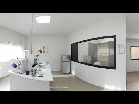 პროცესში