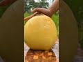 オレンジココナッツ：熟した外皮を切り開く