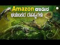 🔥Amazon Forest | ಅತ್ಯಂತ ಭಯಂಕರ ಪ್ರಾಣಿಗಳ ಸ್ವರ್ಗ | Secrets of Amazon | Unknown Facts | #VismayaVani