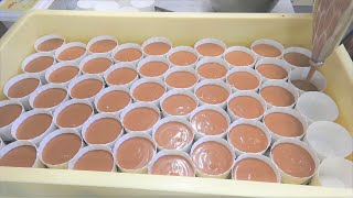 大量仕込み！驚くほど濃厚なバスクチーズケーキ・チョコレートバージョンの作り方　ショコラ・バスクチーズケーキ作り♪ ｜ビルソンローラーズ