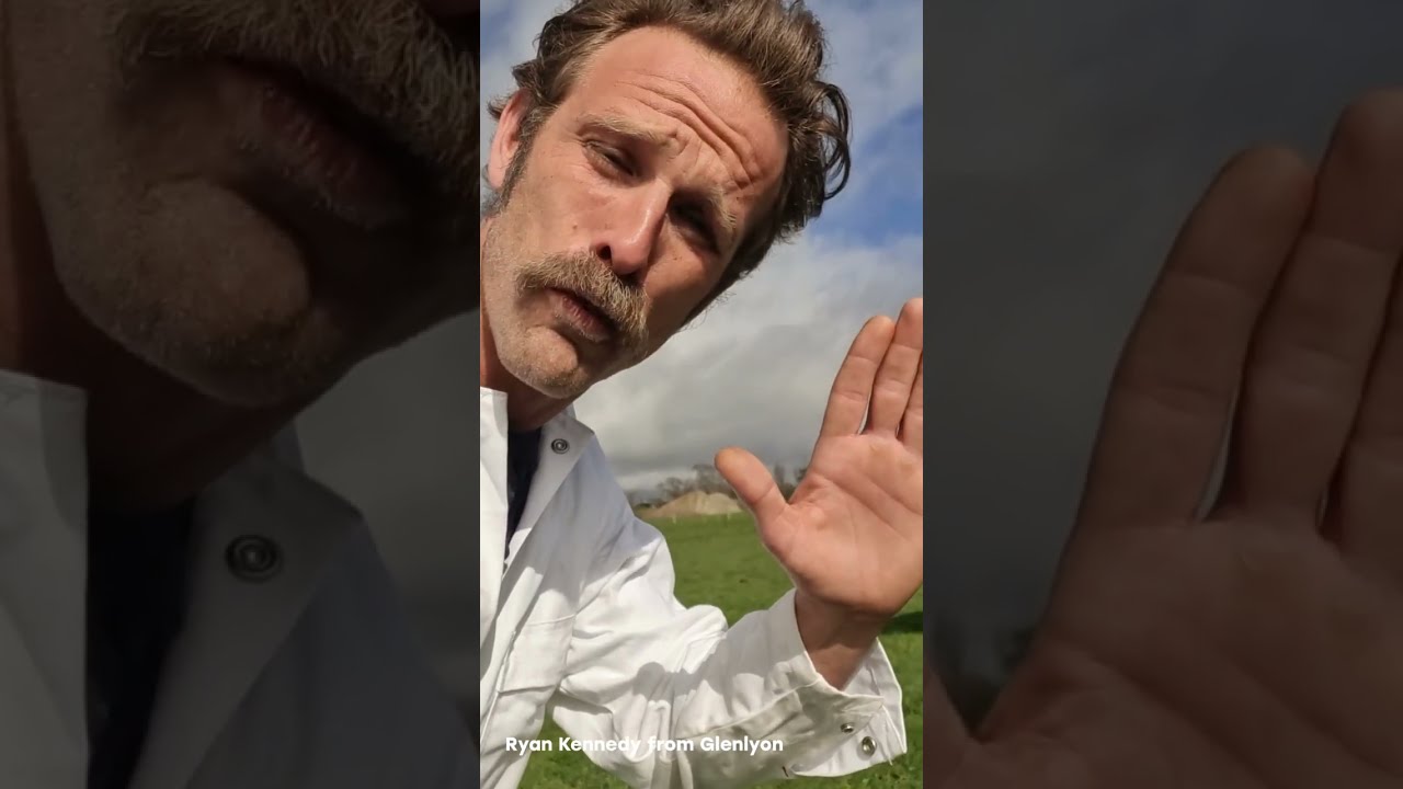 RAV Member Testimonials (August 2025)