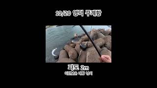 2m넘는 파도에는 이런 낚시 #fishing #루어낚시 #낚시 #고등어낚시