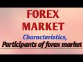Who Are The Forex Market Participants?
