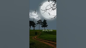 تلاوة هادئة للشيخ خالد القحطاني #quran