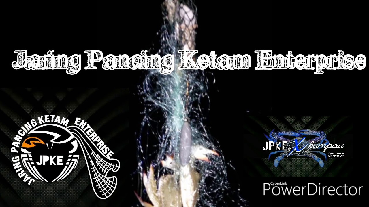 JARING PANCING DAPAT KETAM BESAR