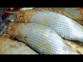 طريقه الفسيخ السايح النايح بكل تاكته واسرار نجاحه طريقه الفسيخ السايح النايح بكل تاكته واسرار نجاحه