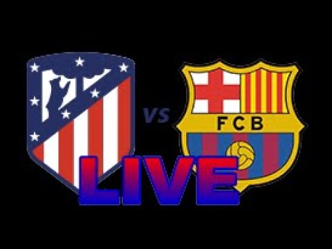 ×'×¨×¦×œ×•× ×