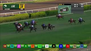 Vidéo de la course PMU PRIX FURIO CAMILO