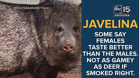 WEIRD! 7 strange things people from Arizona eat - ABC15 Digital