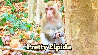 You always pay attention for your actions Elpida/ Mahanokor troop