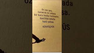 Boşa Kürek Çekmek... Şfet