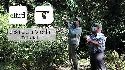 Quick & Easy eBird & Merlin Apps Tutorial!