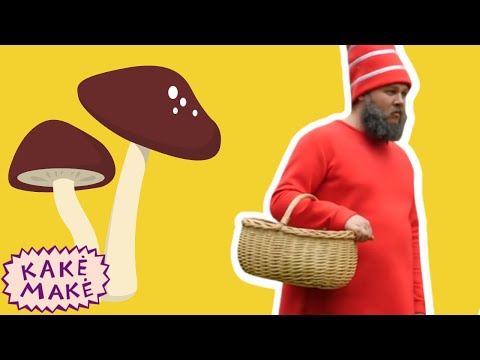 Video: Kaip Iškepti Rudeninį Miško Grybų Pyragą