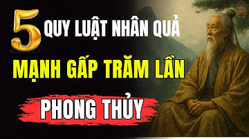 5 Quy Luật Nhân Quả Mạnh Gấp Trăm Lần Phong Thủy – Nghe Để Cải Mệnh | Tinh Hoa Trí Lạc