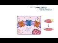 Andersen-Tawil syndrome (Year of the Zebra 2025)