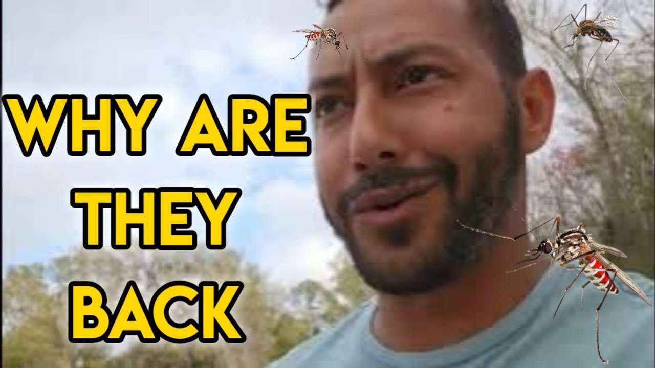 Back to Florida! Picking up where i left off! Visiting Lake Okahumpka Park! RV Living YouTube