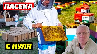 Пасека с нуля Какие должны быть пчелопакеты карника Пакеты от семьи Колесник