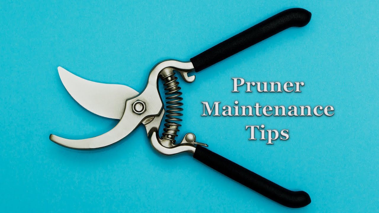 Pruner Maintenance Tips YouTube