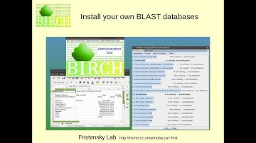 Installing BLAST databases on your own computer