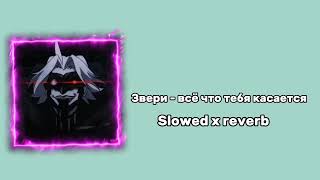 Звери - Всё Что Тебя Касается Slowed X Reverb