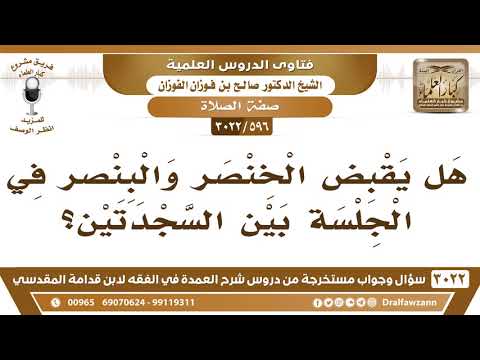 [596 -3022] هل يقبض الخنصر والبنصر في الجلسة بين السجدتين؟