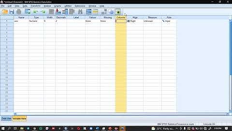 Introduction to SPSS and Data entry in Amharic
