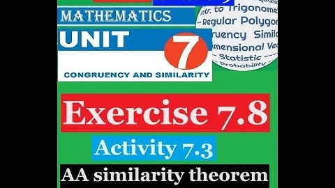 Mathematics Grade 9 Unit 7 Exercise 7.8 & Activity 7.3(AA similarity theorem)@mathT_21
