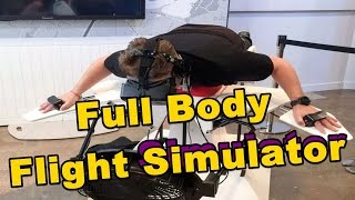 flight simulator bird reality virtual