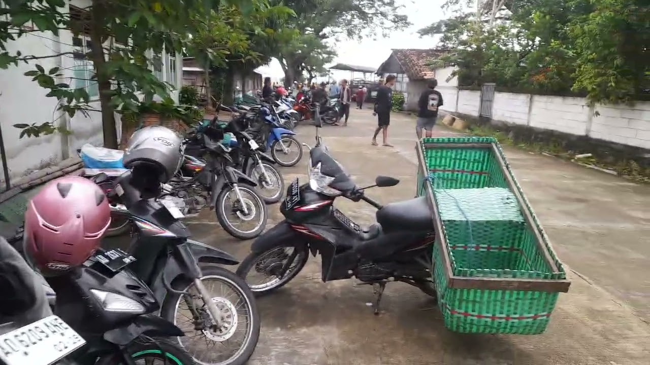 Pasar hewan pojok sukodono@kangssun