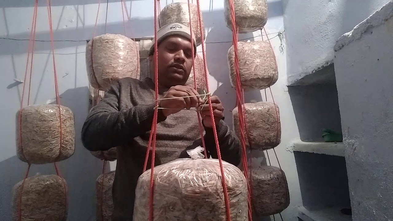 मशरूम के लिए रस्सी बनाना by k k mehra