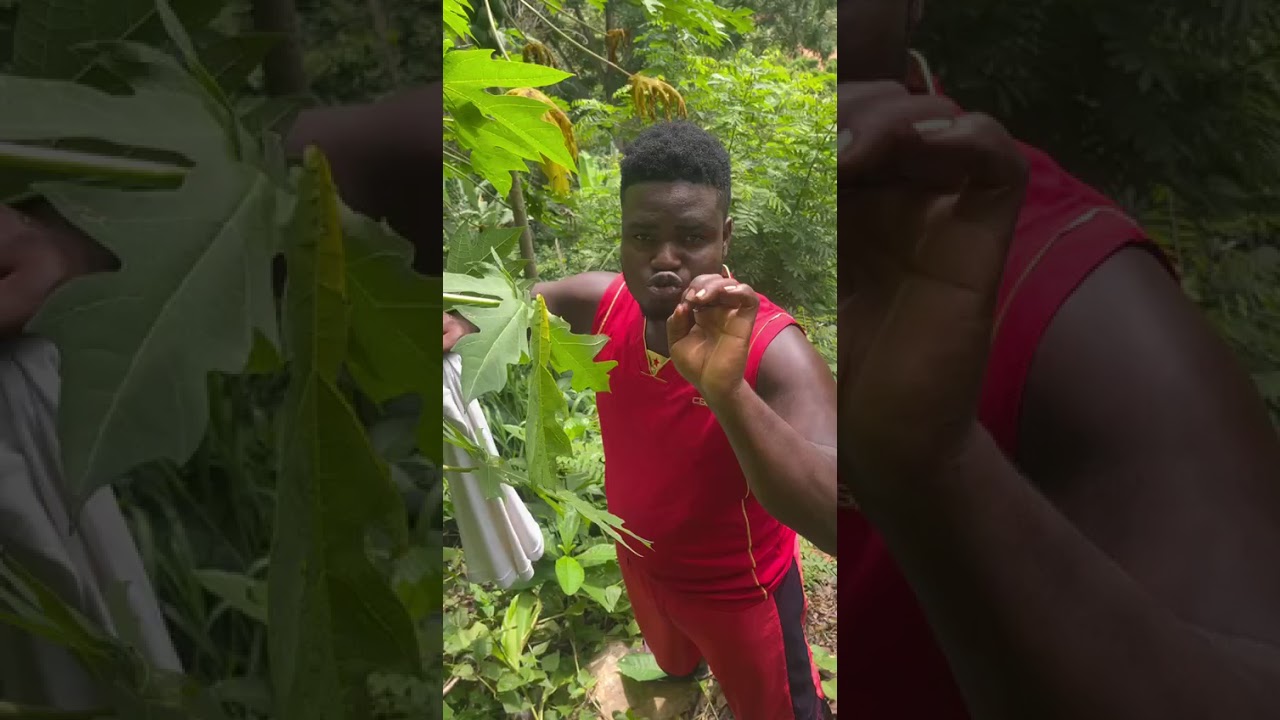 gun protection.. tested and confirm