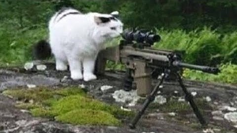 RUN or HIDE this SNIPER his FINDING YOU!!! #ApexLegends #Ranked #ALGS #Apex #Gaming #VideoGames