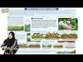 Science Class 8 Chapter 1 Ecology | Impact of Ecosystem Changes | Environmental Changes & Effects