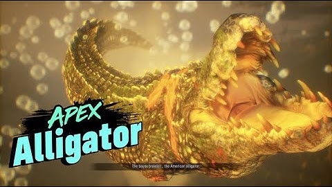 Maneater Gameplay Part 3: Fighting The BIGGEST Alligator EVER