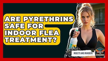 Are Pyrethrins Safe For Indoor Flea Treatment? - Insects and Invaders