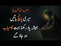 Hazrat ali ra ne farmaya meri paanch baatein hamesha yaad rakhna  urduadabiyat