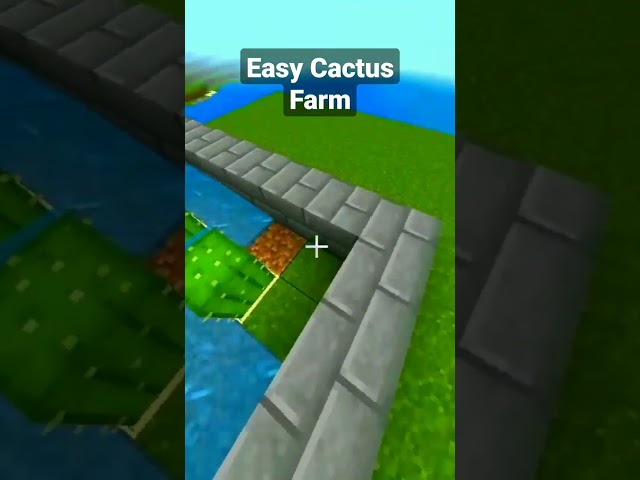 Easy Cactus Farm Bedrock 1.19 #shorts #cactusfarm #minecraft #minecraftshorts class=