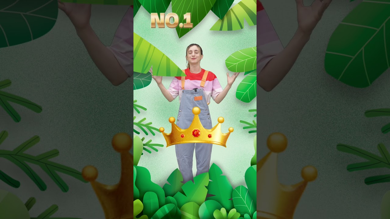 Top Animal Fighters Leaderboard: Ranking the Best Combatants in the Animal Kingdom