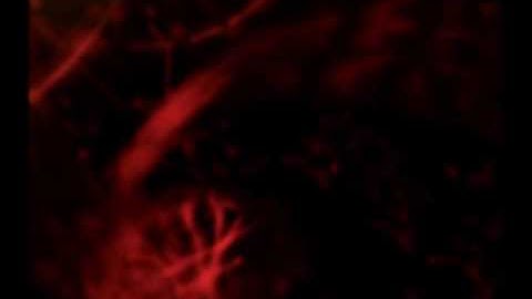 (The New) Defender - Video Game Intro, Trailer for Gamecube