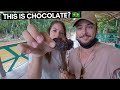 BOAT TRIP IN THE AMAZON 🇧🇷 THIS IS WHERE CHOCOLATE COMES FROM? | COMBU ISLAND