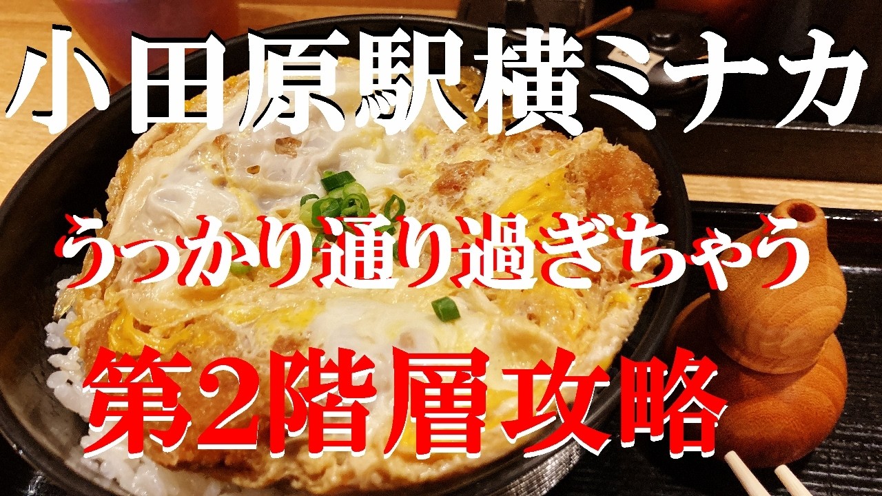 NEW 小田原ぶらり旅★午後から散歩なので近場の小田原駅横ミナカ謎の2階攻略【京家】【和豚】