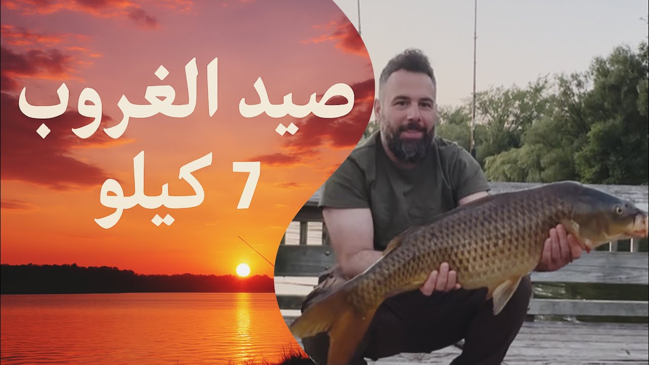 السمك بدأ الهجوم وقت الغروب .. صيد الوزن الثقيل 